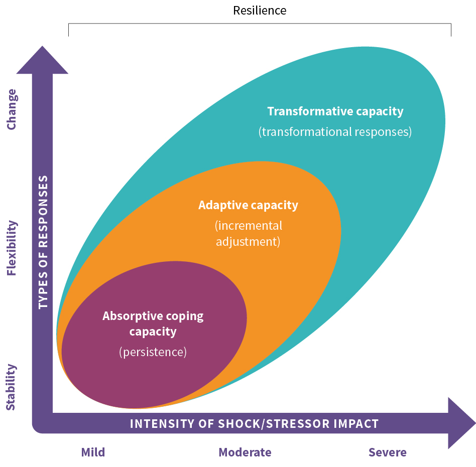 Diagram showing how the three different phases of resilience relate to each other. On the verticle axis shows the type of change responses from stability to flexibility to change, while on the horizontal access shows the intensity of the shock or stressors impact from mild to moderate to severe. Adaptive coping capacity or persistence results in more stable responses to mild shocks. Adaptive capacity or incremental adjustment results in flexible responses to moderate shocks. Finally, transformative capacity or transformational responses results in change responses to severe shocks.