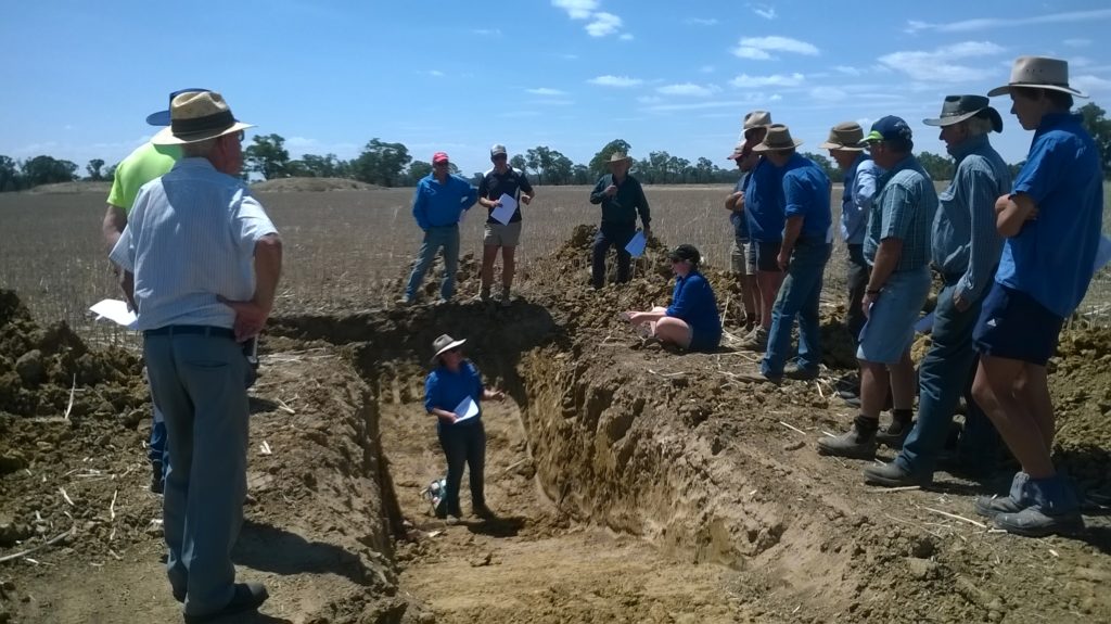 A photo of a group of farmers surrounding a soil pit with a guest speaker explaining what they're seeing in the pit.