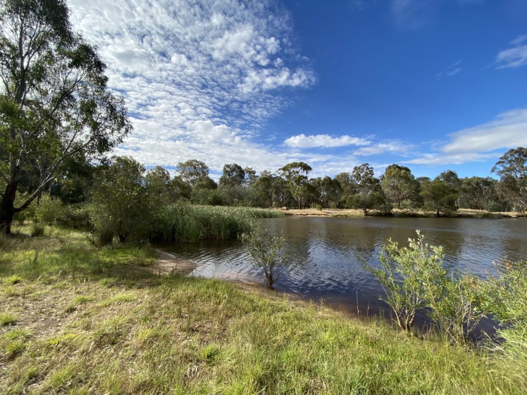 Image of a dam surrounded by native vegetation at the Euroa Arboretum.
