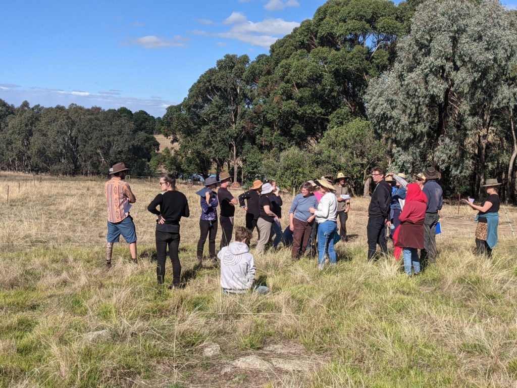 A group of people standing in a grassy paddock surrounded by native trees assessing environmental values.